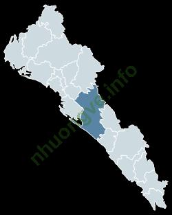 Ảnh Sinaloa 941 1