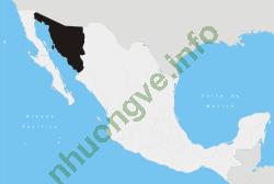 Ảnh Sonora 801 3