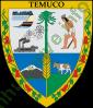 Ảnh Temuco 3220 2