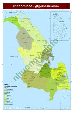Ảnh Trincomalee 3770 1