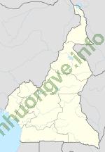 Ảnh Zabré 4296 1