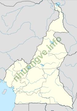 Ảnh Zabré 4296 2