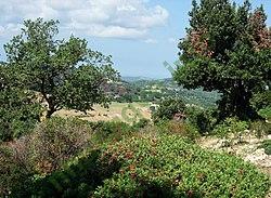 Ảnh Apulia 443