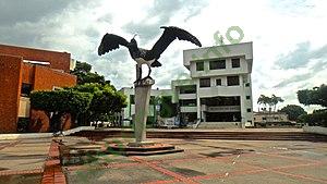 Ảnh Arauca 325