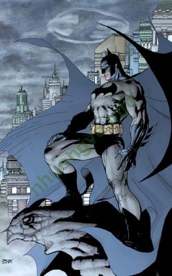 Ảnh Batman 389