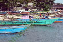 Ảnh Biak 503