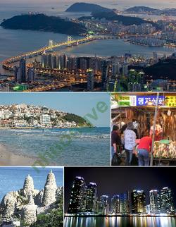 Ảnh Busan 3186