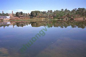 Ảnh Dakhla Oasis 987