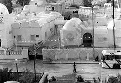 Ảnh El Oued 1184