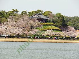 Ảnh Gangneung 1810