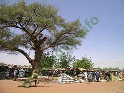 Ảnh Gorom-Gorom 4269