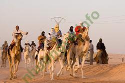 Ảnh Hassi Messaoud 1553