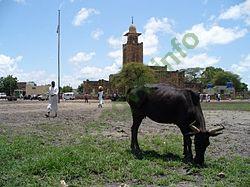Ảnh Malakal 2366