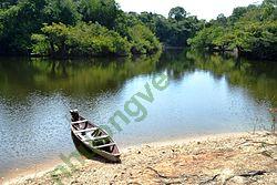 Ảnh Pará 204