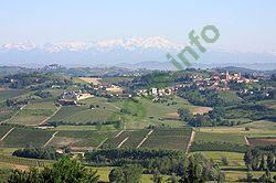 Ảnh Piedmont 937