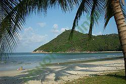 Ảnh Surat Thani 4029