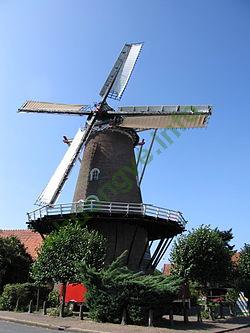 Ảnh Wageningen 120