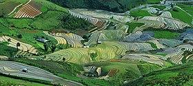 Ảnh Yen Bai 4403