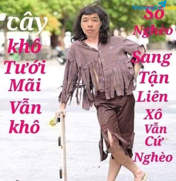 Ảnh Vanquy