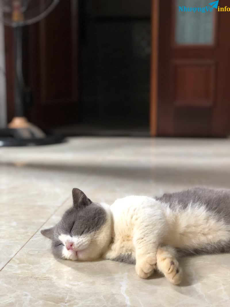 Ảnh Trường