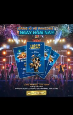 Ảnh Lễ Hội Âm Nhạc Tiger Remix