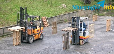 Ảnh ĐÀO TẠO LÁI NÂNG HẢI PHÒNG