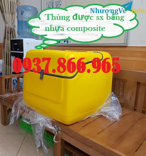 Ảnh Thung cho hàng, thùng giao hàng ăn nhanh, thùng ship hàng, thùng giao pizza