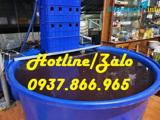 Ảnh ThuÌng đưÌ£ng haÌi saÌn, thuÌng 1 khôÌi, thuÌng dung tiÌch lơÌn 1000l maÌu xanh, thuÌng chưÌ nhâÌ£t dung tiÌch lơÌn