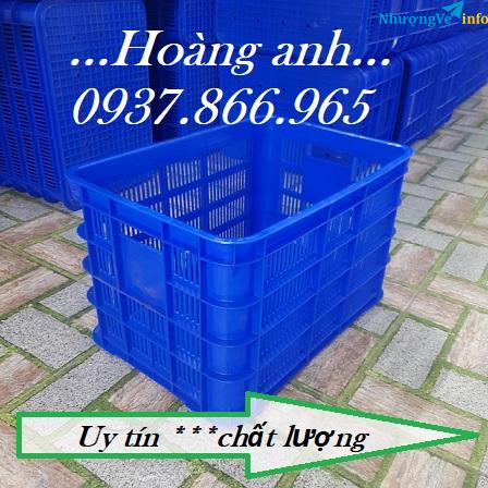 Ảnh Giá sọt cao 31, sọt nhựa tại hà nội, giá sọt, sọt công nghiệp,sọt đựng hải sản, thùng nhựa HS 004