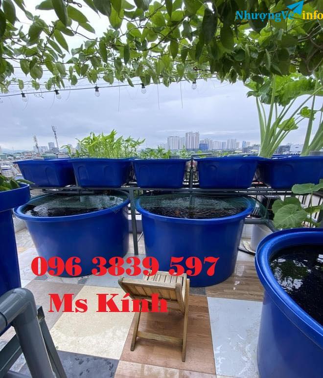 Ảnh Thùng nhựa tròn nuôi cá, chậu nhựa trồng cây, thùng nhựa công nghiệp - 096 3839 597 Ms Kính