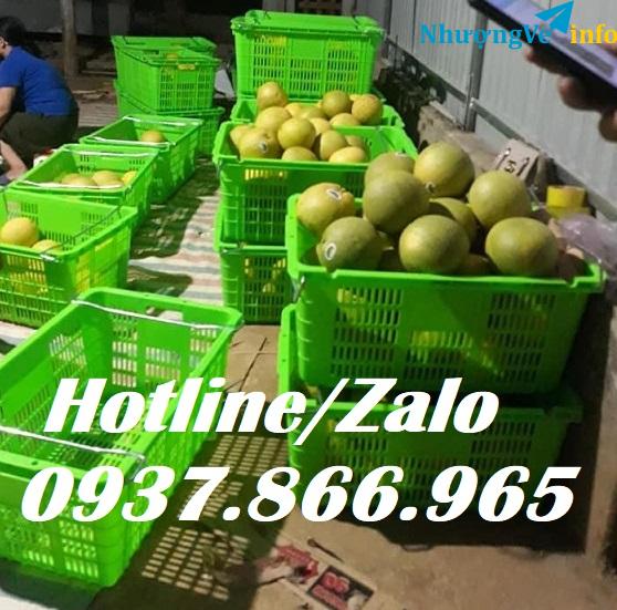 Ảnh Sóng nhựa, mua sọt quai sắt ở đâu, sọt quai sắt đựng hàng nông sản, mua sọt quai sắt tại hà nội